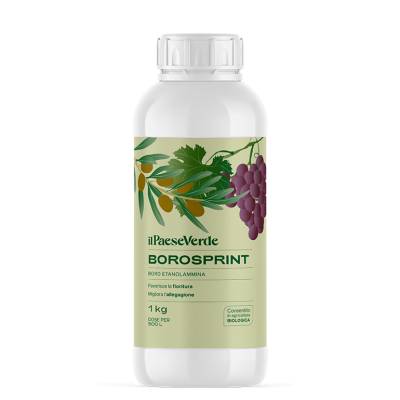Borosprint-Concime liquido a base di boro etanolammina 1 kg