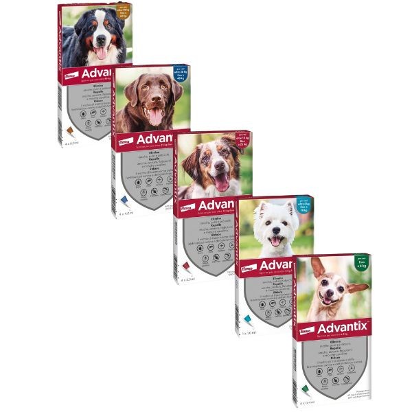 Antiparassitario Spot-On per cani Advantix