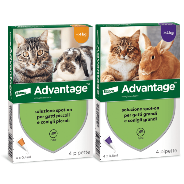 Antiparassitario Spot-On per gatti e conigli Advantage